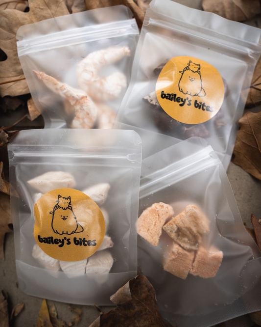 Starter Pack | Try & Taste Natural Freeze-Dried Treat Bundle (UK Made)