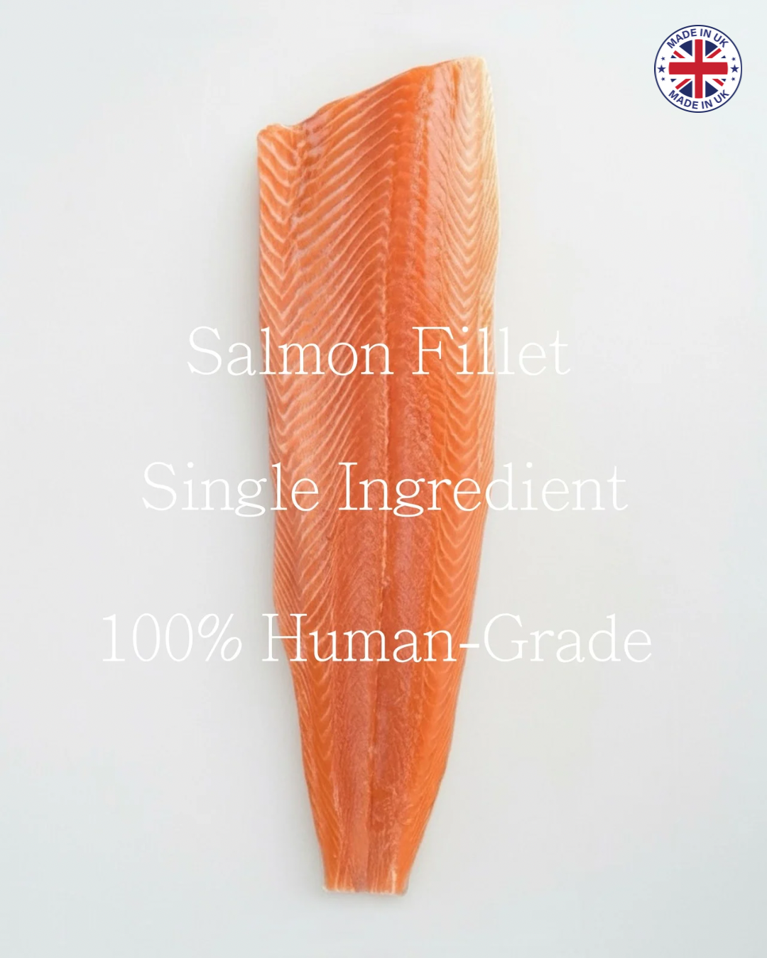 Natural Salmon Treats | High Omega-3 Fish Snacks (Freeze-Dried)
