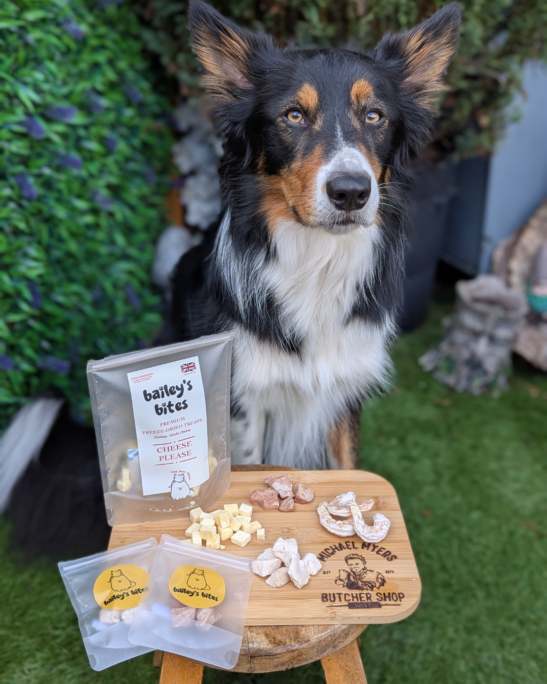 Starter pack - Try & Taste Bundle