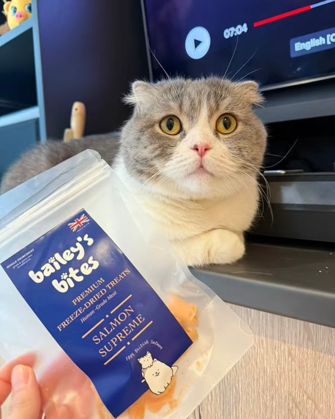 Bailey's Bites Salmon Fillet