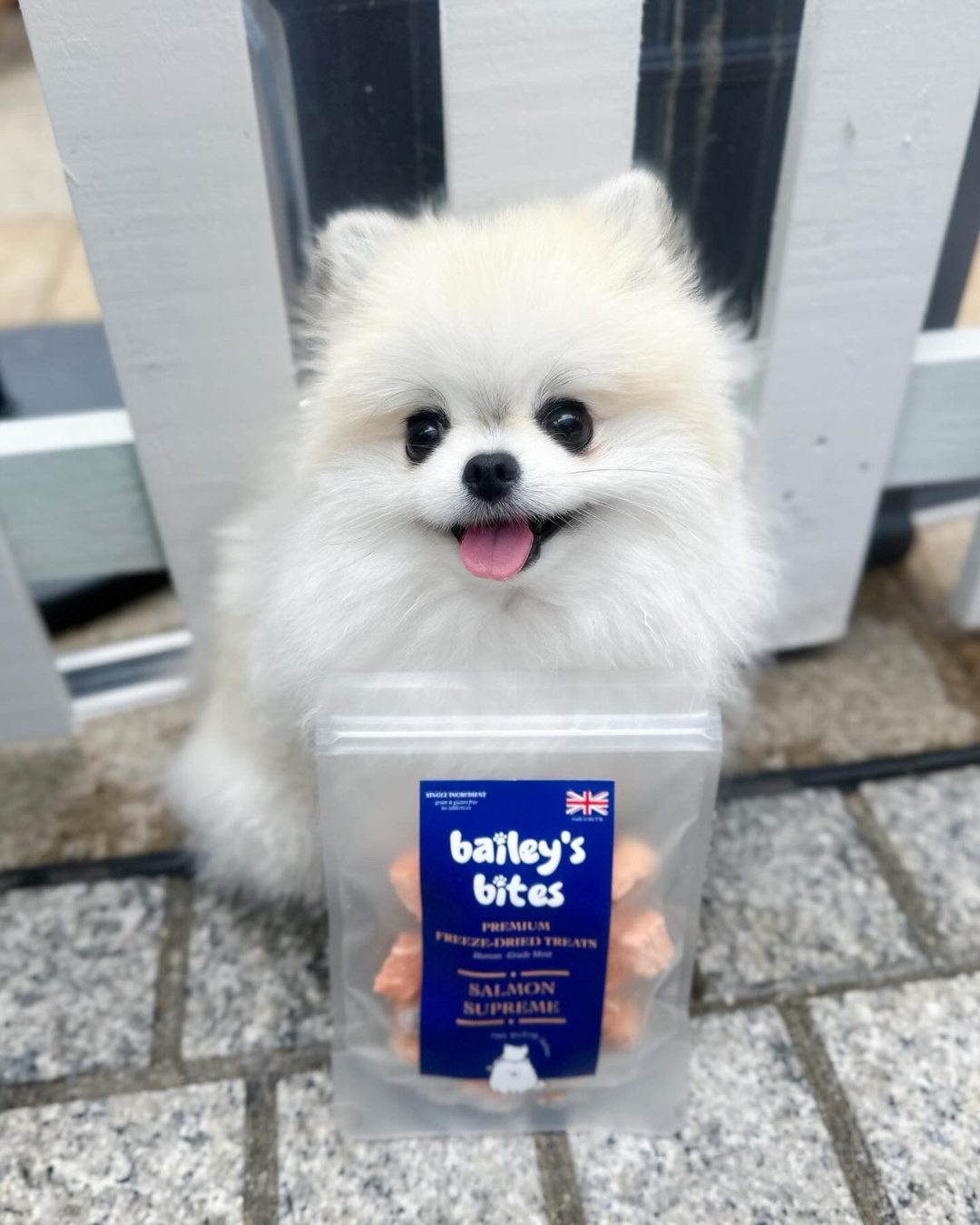 Bailey's Bites Salmon Fillet
