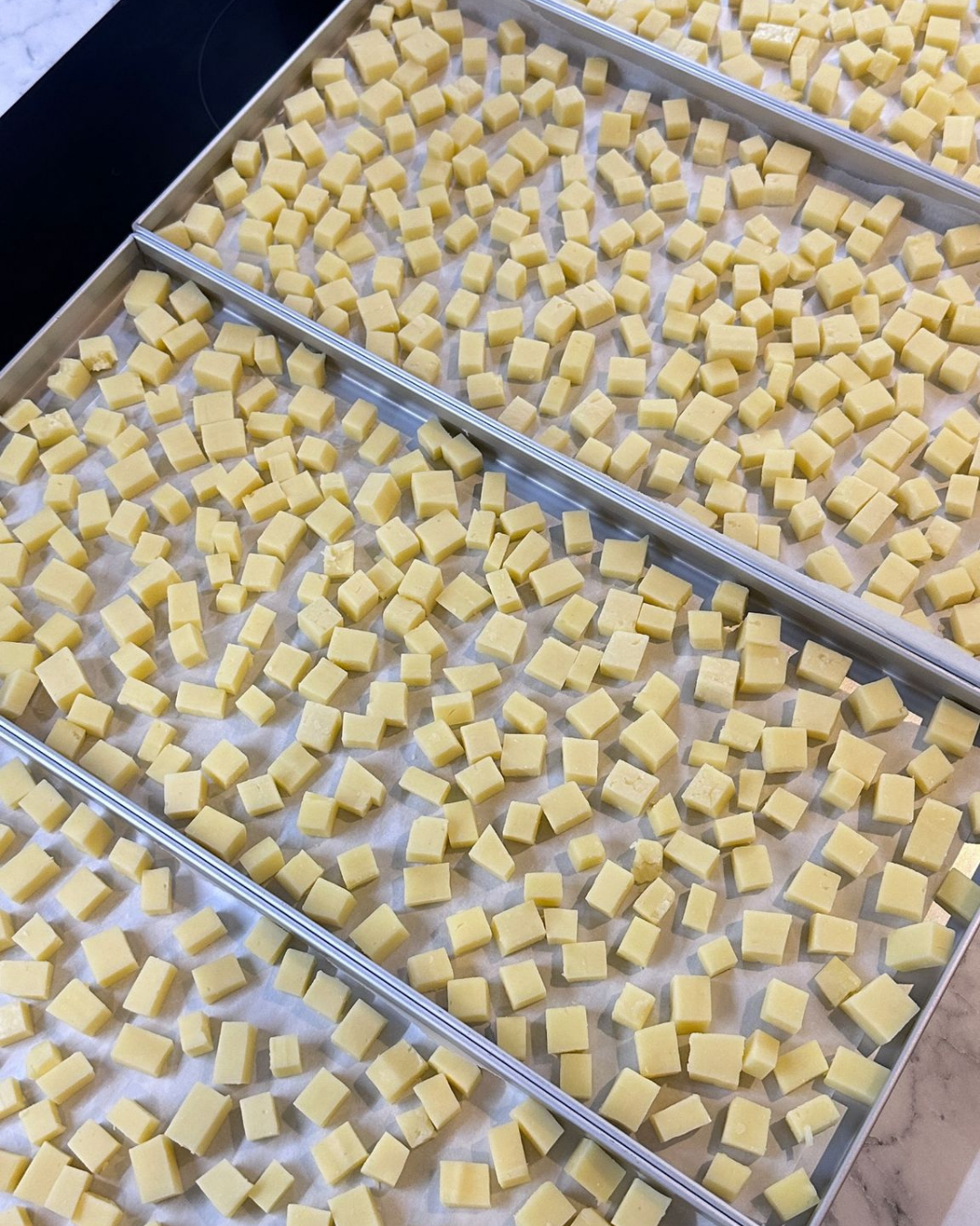 Natural Cheddar Cheese Treats | High-Protein & Calcium Training Snacks (Freeze-Dried)