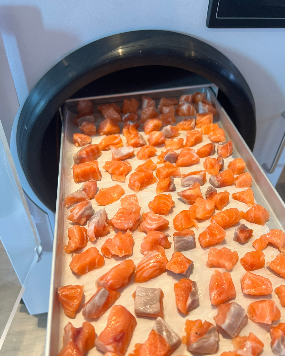 Bailey's Bites Salmon Fillet