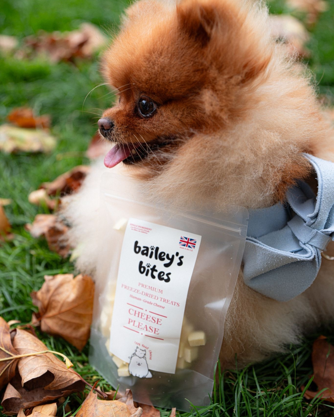 Bailey’s Bites British Cheddar Cheese