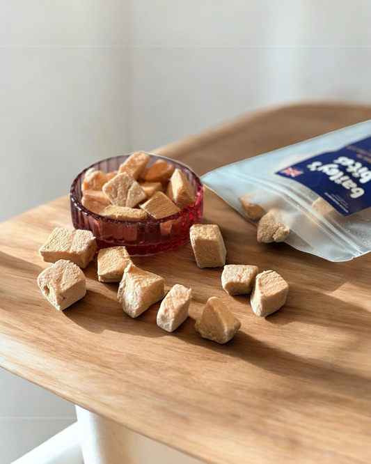 Bailey's Bites Salmon Fillet