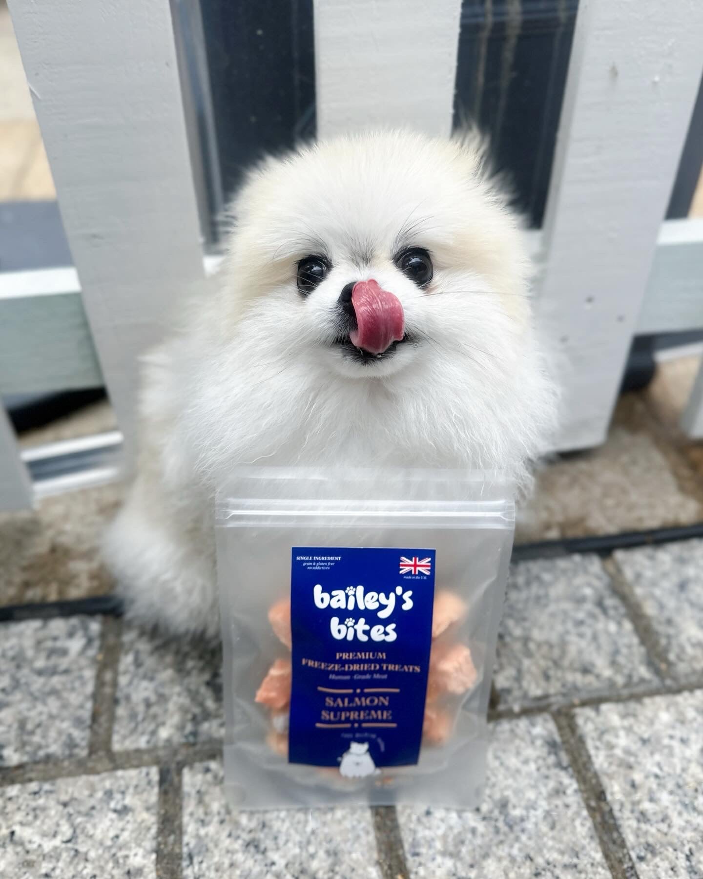 Natural Salmon Treats | High Omega-3 Fish Snacks (Freeze-Dried)