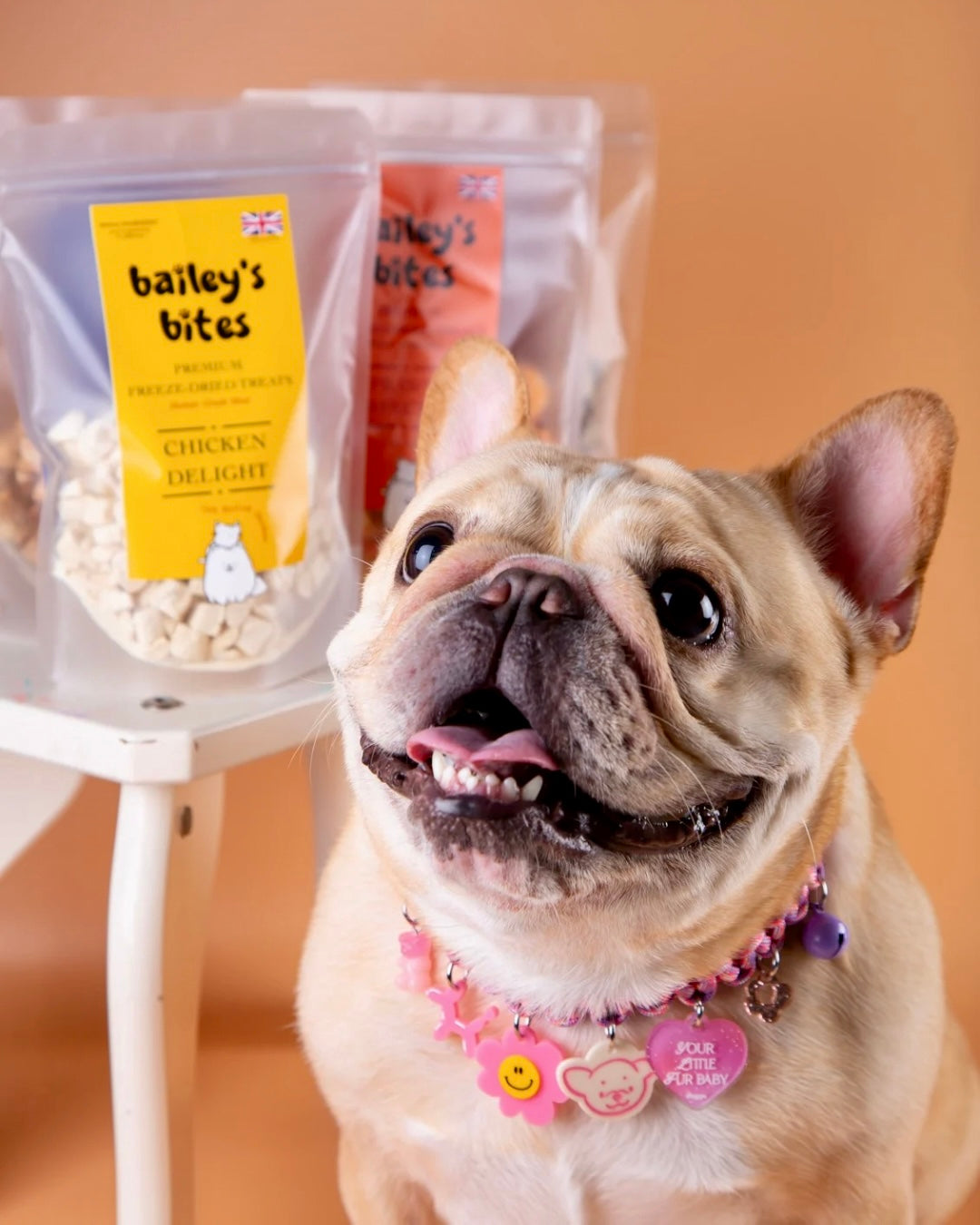 Super Fan Pack | Stock Up & Save Natural Freeze-Dried Treat Bundle (UK Made)